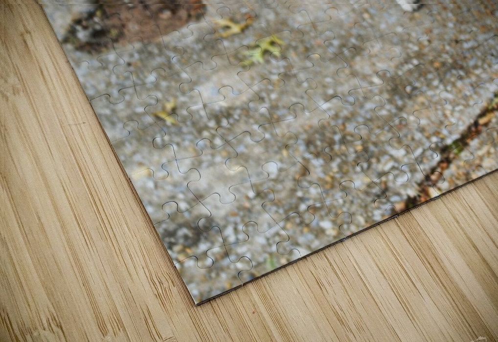 2262521 :: Puzzle Print