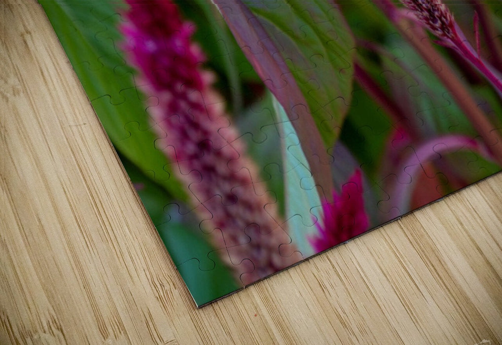 Wall Picture Frames - Why Do | BR Fashions LLC