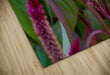 Wall Picture Frames - Why Do | BR Fashions LLC