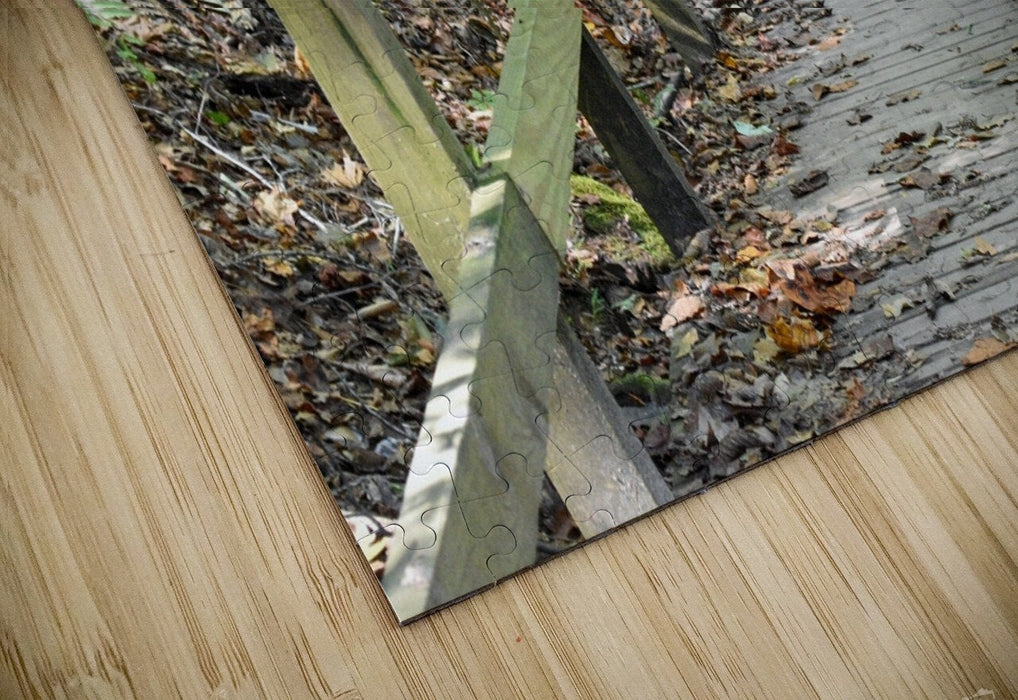 Wall Picture Frames | The Trail of Life – BR Fashions LLC