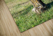 Wall Picture Frames | BR Fashions LLC