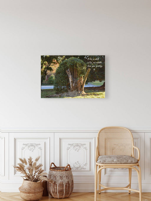 A Lie - wall picture frames