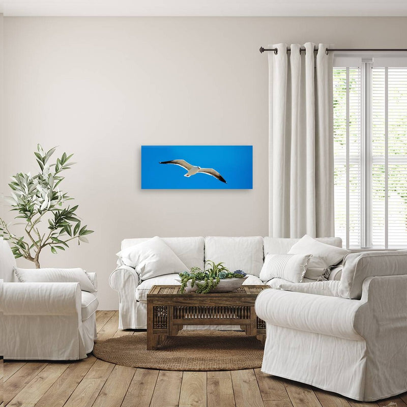 Free As A Bird wall picture frames