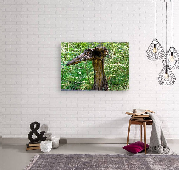 Wall Picture Frames | Look See Collection - BR Fashions LLC