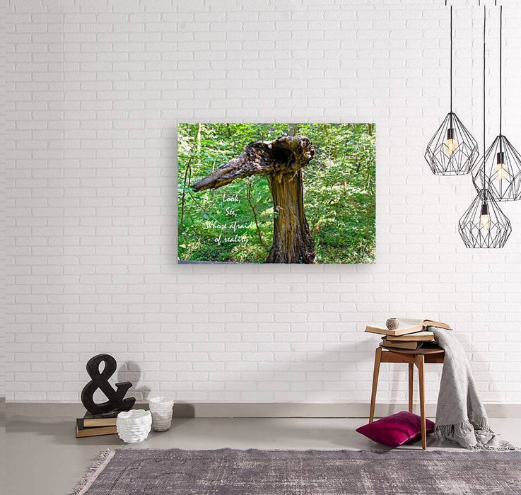 Wall Picture Frames | Look See Collection - BR Fashions LLC