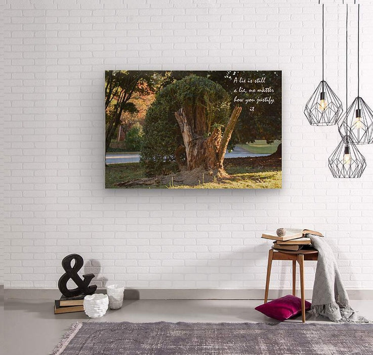 A Lie - wall picture frames