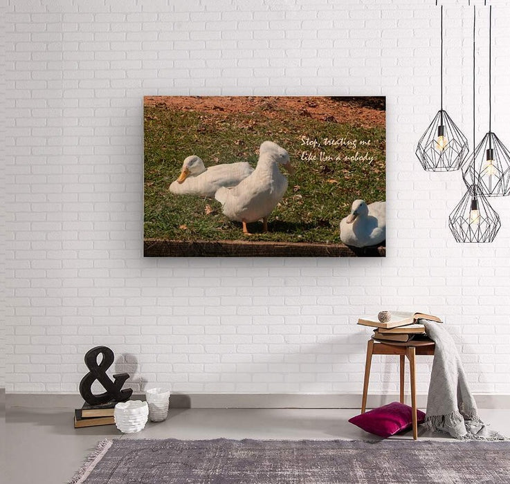 Ducks Gathering Together Discussing