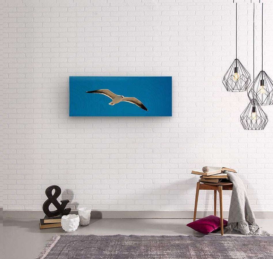 Free As A Bird wall picture frames