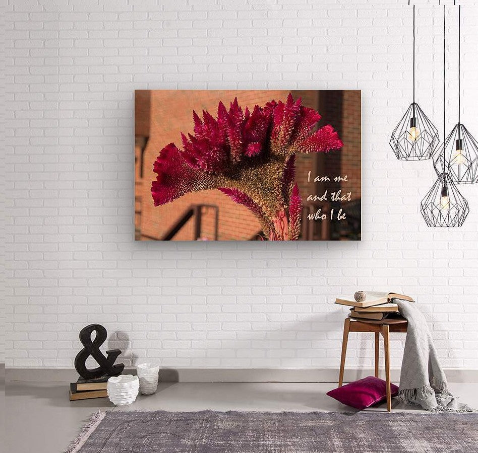 I Am Wall picture frames