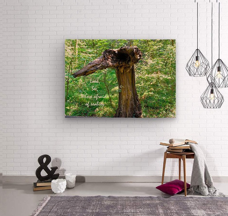 Wall Picture Frames | Look See Collection - BR Fashions LLC