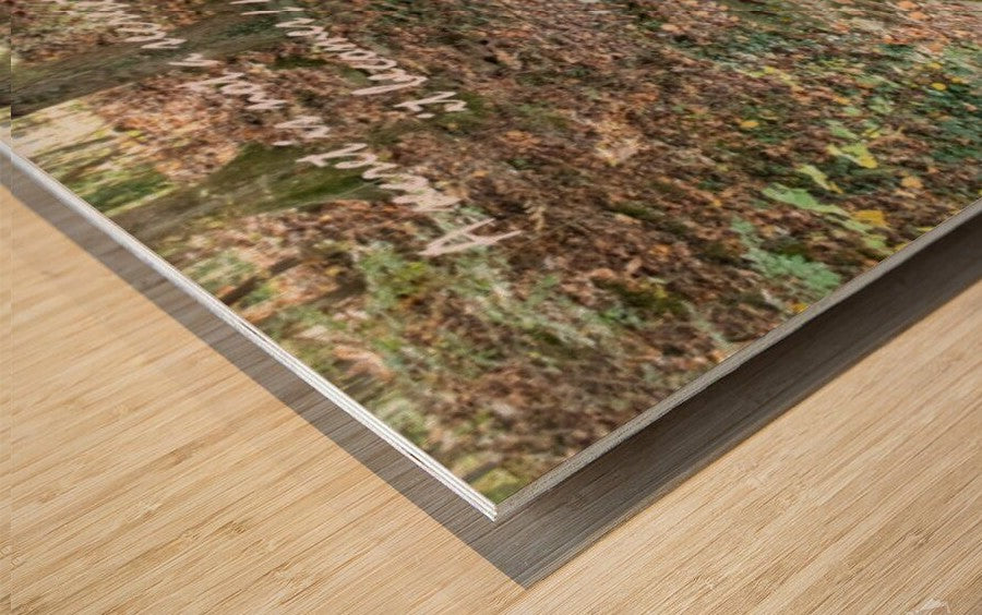 A Secret - wall picture frames