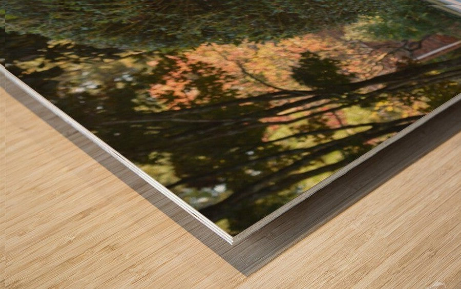 A Lie - wall picture frames