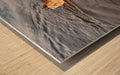 Biggest Lie - wall picture frames