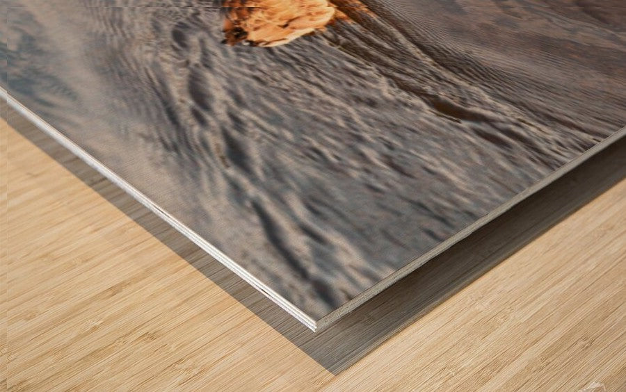 Biggest Lie - wall picture frames