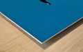 Free As A Bird wall picture frames