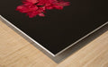 Home Decor - Flowers