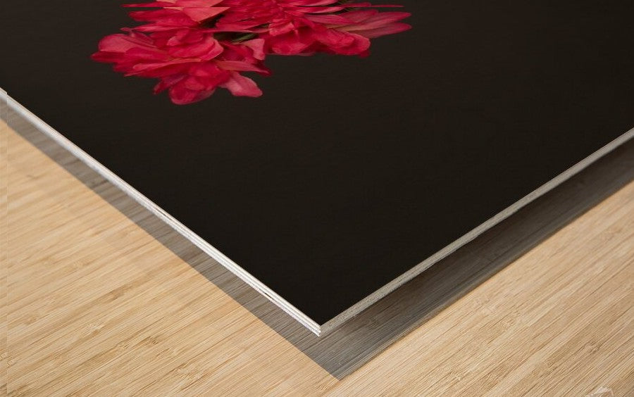 Home Decor - Flowers