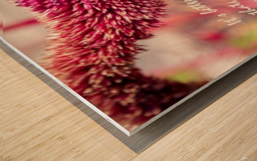 It's Better Wall picture frames