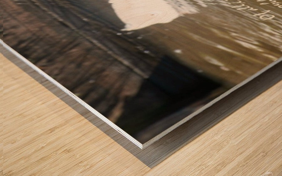 Wall Picture Frames - Shop Unique Styles at BR Fashions LLC
