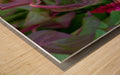 Wall Picture Frames - Why Do | BR Fashions LLC