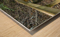 Wall Picture Frames | The Trail of Life – BR Fashions LLC