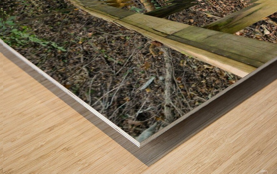 Wall Picture Frames | The Trail of Life – BR Fashions LLC