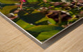 True Happiness Wall Picture Frames - BR Fashions LLC