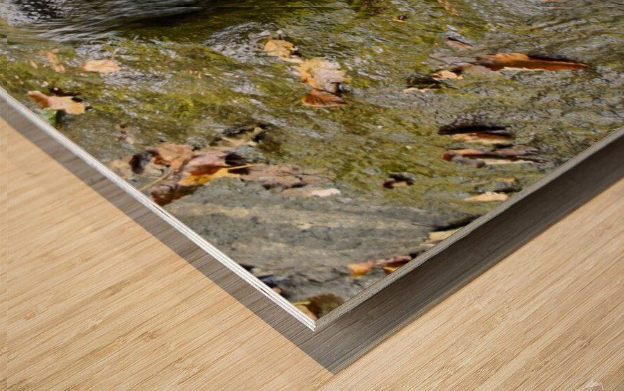 Wall Picture Frames - Waterfalls | BR Fashions LLC